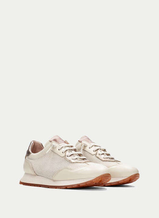 Kansas Latte Sneaker