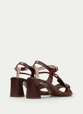 Orquidea Sandal