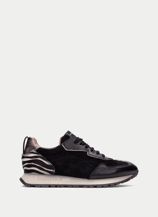 Kansas Zebra Sneaker