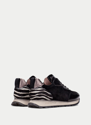 Kansas Zebra Sneaker
